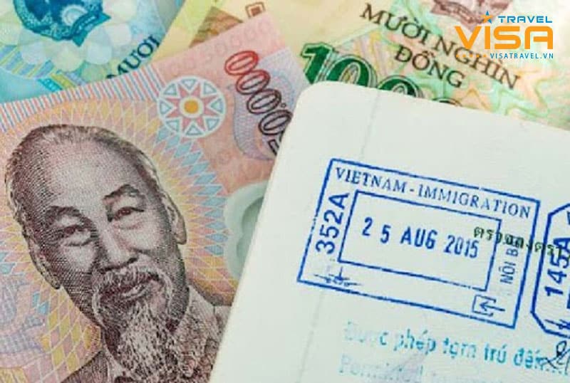 E-visa Việt Nam là gì? Các thông tin về visa điện tử Việt Nam? 3