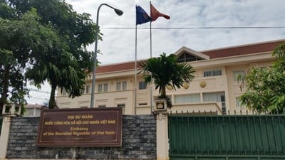 Đại sứ quán Việt Nam tại Mỹ - Địa chỉ, Thời gian làm việc, Dịch vụ và Visa cho người Mỹ